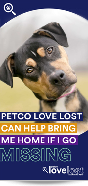 Petco Love Lost can help bring me home if I go missing